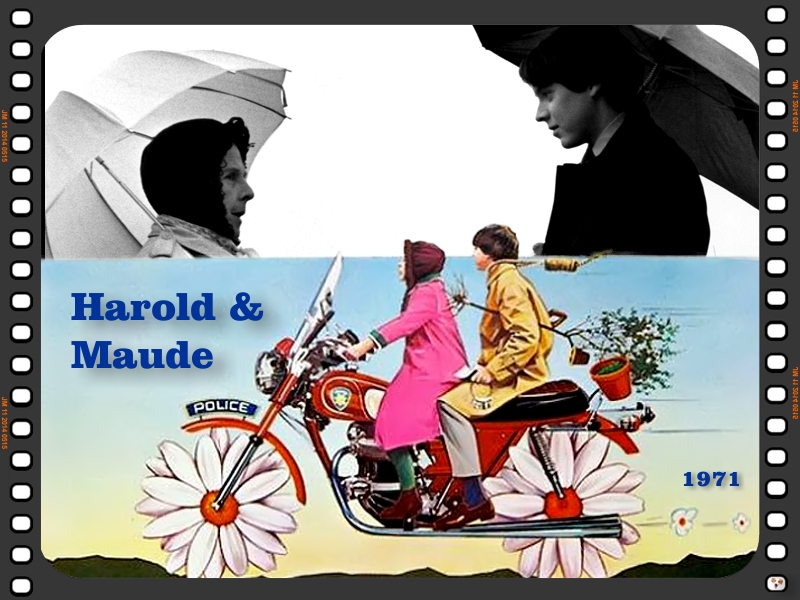 Harold & Maude